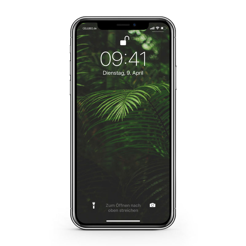 "the Curved" Version 2019 - iPhone XS Max Displayschutz